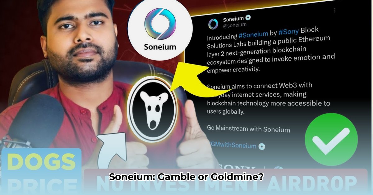 soneium-crypto-price